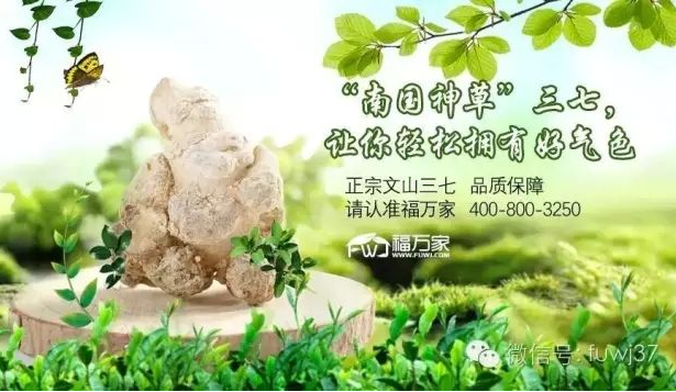 三七粉美容的同时还能改善肤色