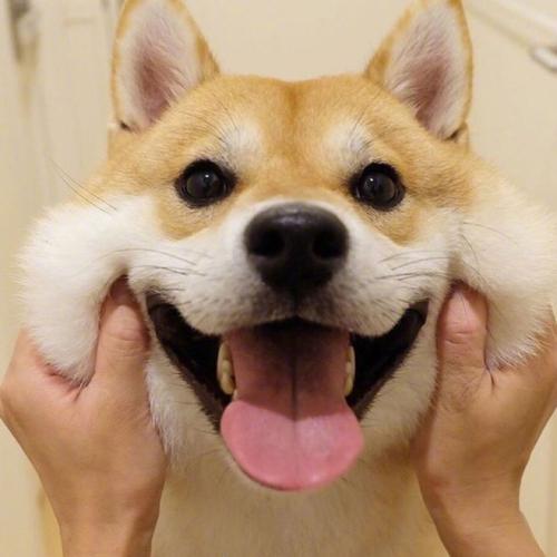 保持好心情