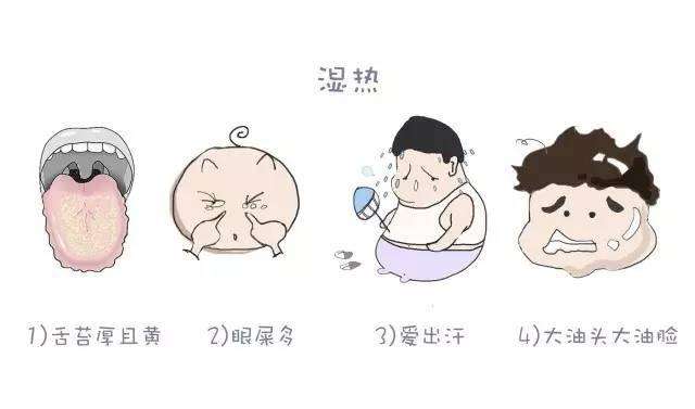 湿热的症状
