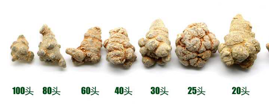 三七头数参考