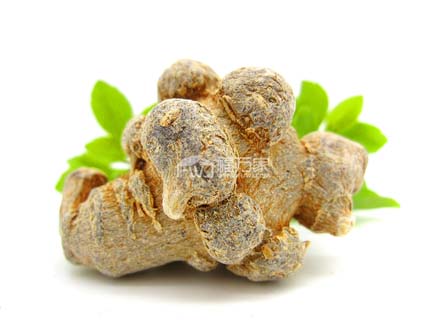 哪里能买到好的三七？不怕对比的好三七