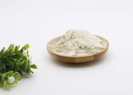 三七粉对脑供血不足有用